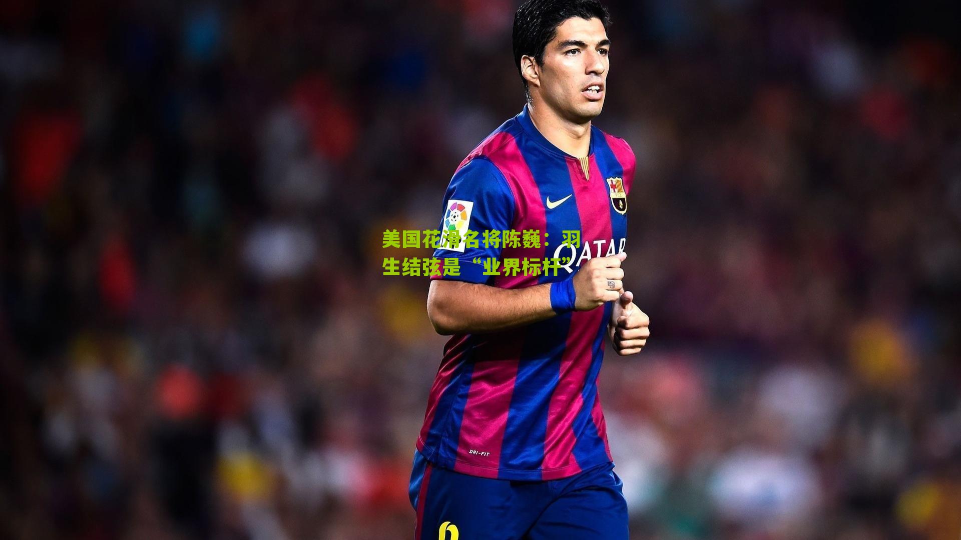 美国花滑名将陈巍:羽生结弦是“业界标杆”