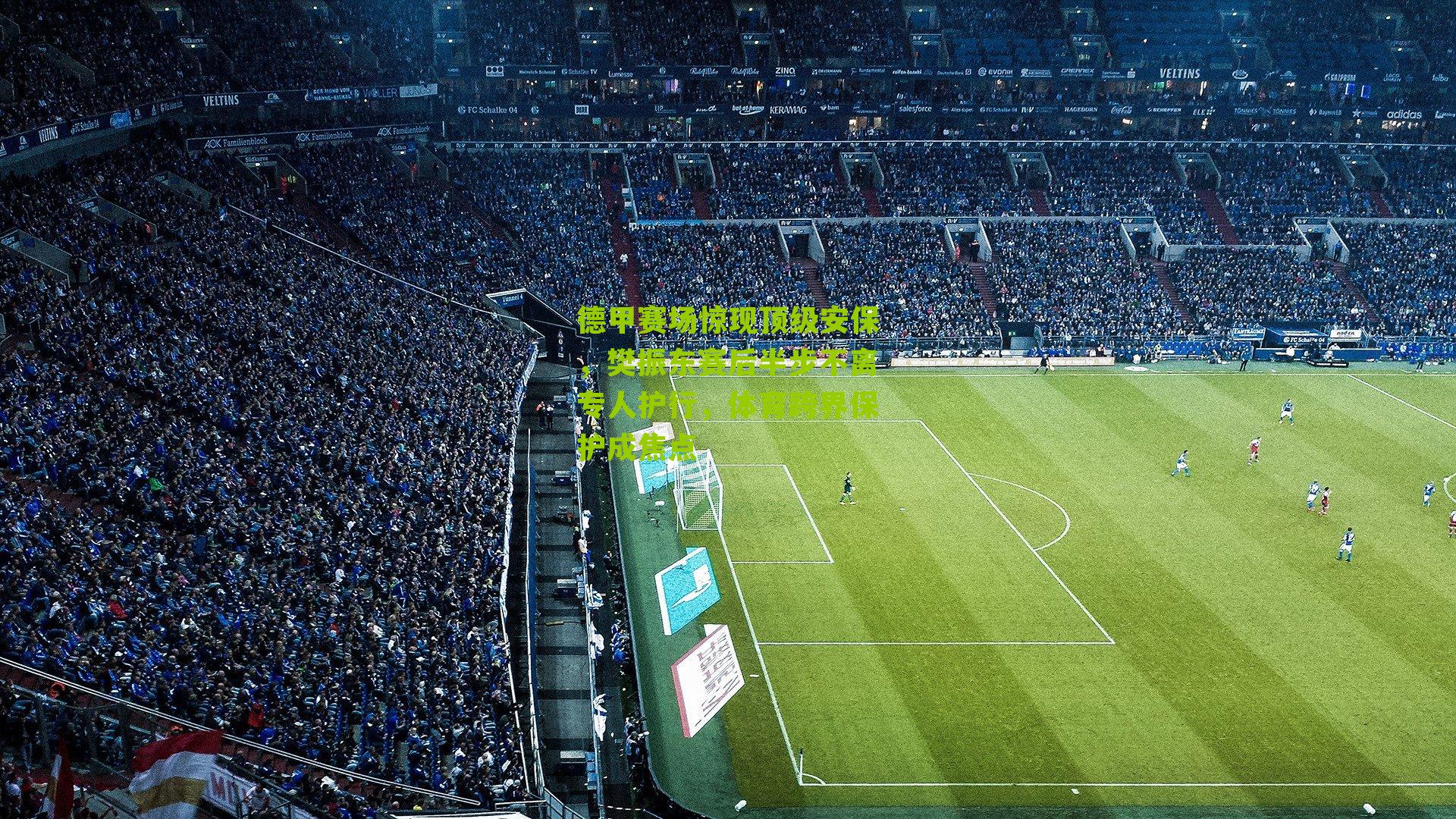 德甲赛场惊现顶级安保，樊振东赛后半步不离专人护行，体育跨界保护成焦点